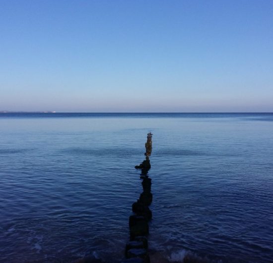20181102_115034.jpg